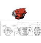Bomba de engranajes Binotto NPH-73 TANDEM UNI L